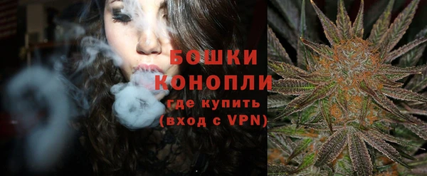 индика Козловка