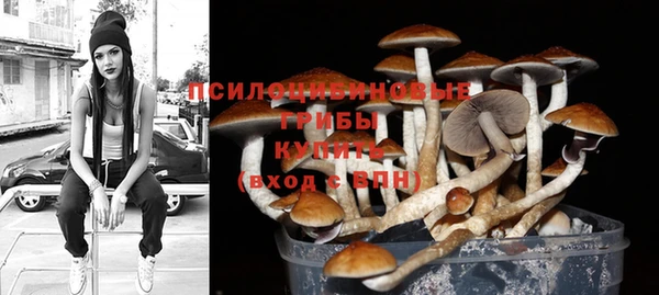 мескалин Коряжма