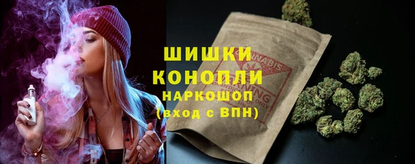 дурь Краснослободск