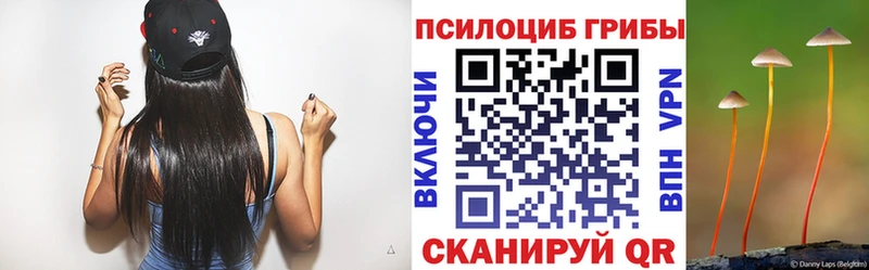 Псилоцибиновые грибы мухоморы  Котельнич 